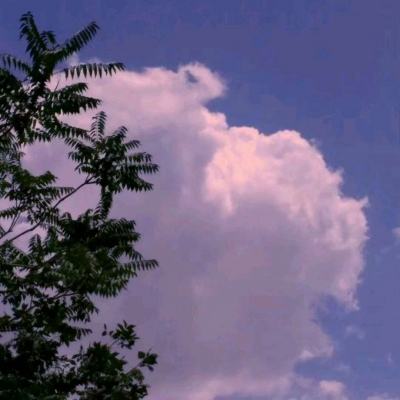 乐发lv彩票app下载安装